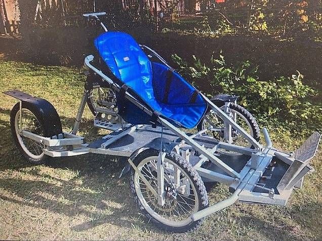 Rimorchi: KART DYCK LENNO 60 pour chiens – Usato da Aigle venduto da tac_2hkp