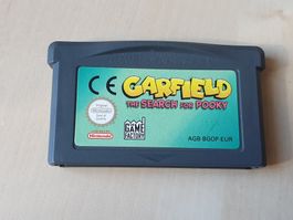 Garfield the Search of Pooky