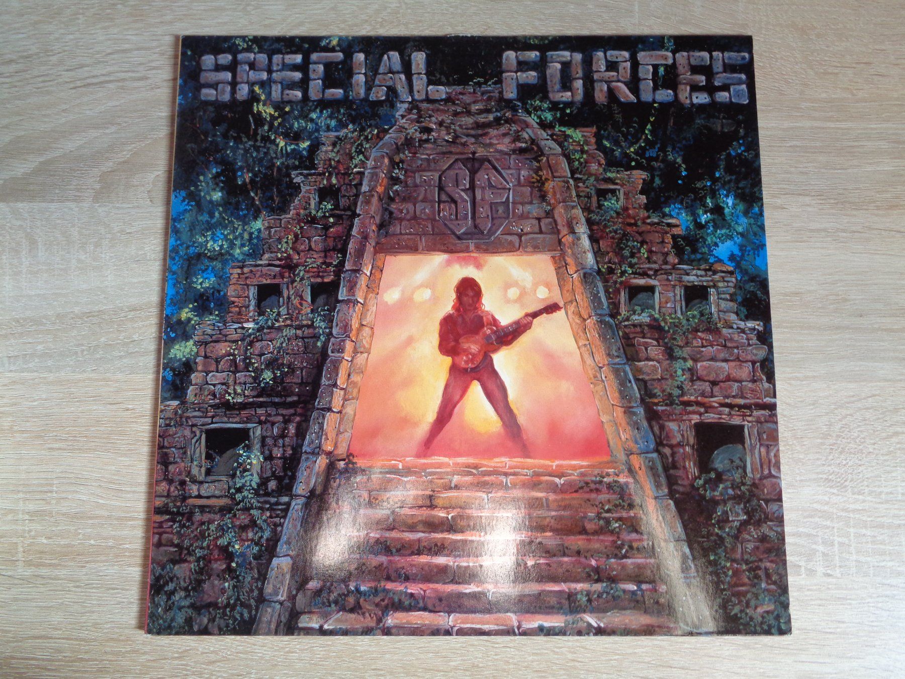 Schallplatten: SPECIAL FORCES - SPECIAL FORCES (LP) – Gebraucht aus Weiningen ZH von Princebebe