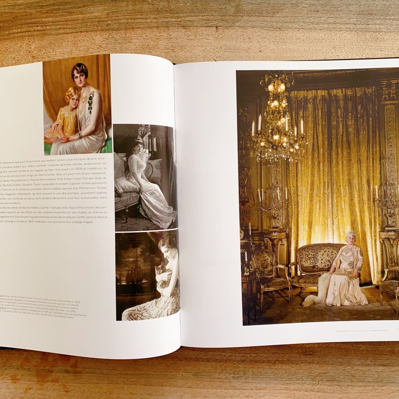 Libri: High Jewelry and Precious Objects by Cartier – Nuovo e nell'imballaggio originale da Luzern venduto da Sommer_26 1