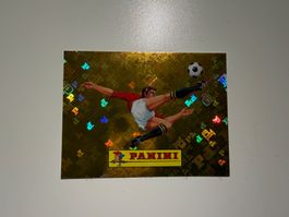 Panini Sticker