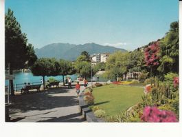 Locarno 1977