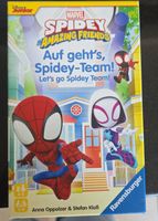 Spidey Amazing Friends Brettspiel sehr guter Zustand