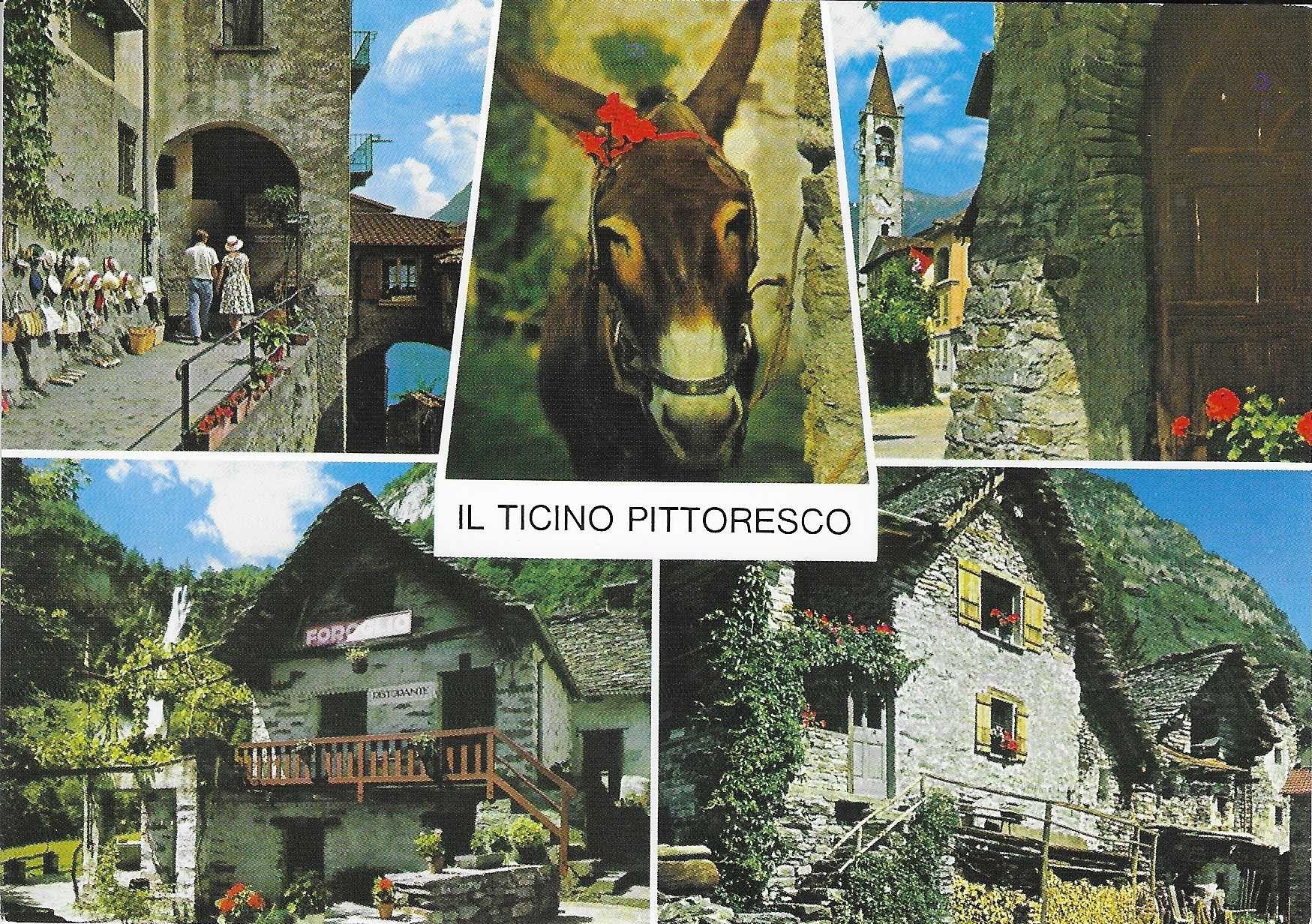 Cartoline postali: Il Ticino Pitoresco TI – Usato da Rothrist venduto da Stranglehold