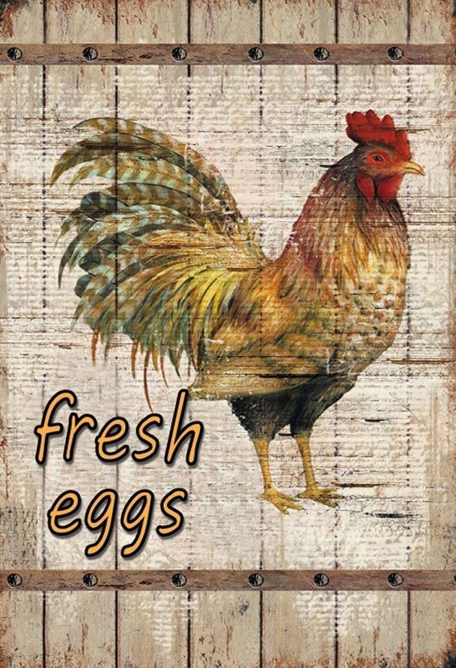 Insegne: Blechschild-HUHN-FRESH EGGS – Nuovo e nell'imballaggio originale da Rupperswil venduto da big-one-sale