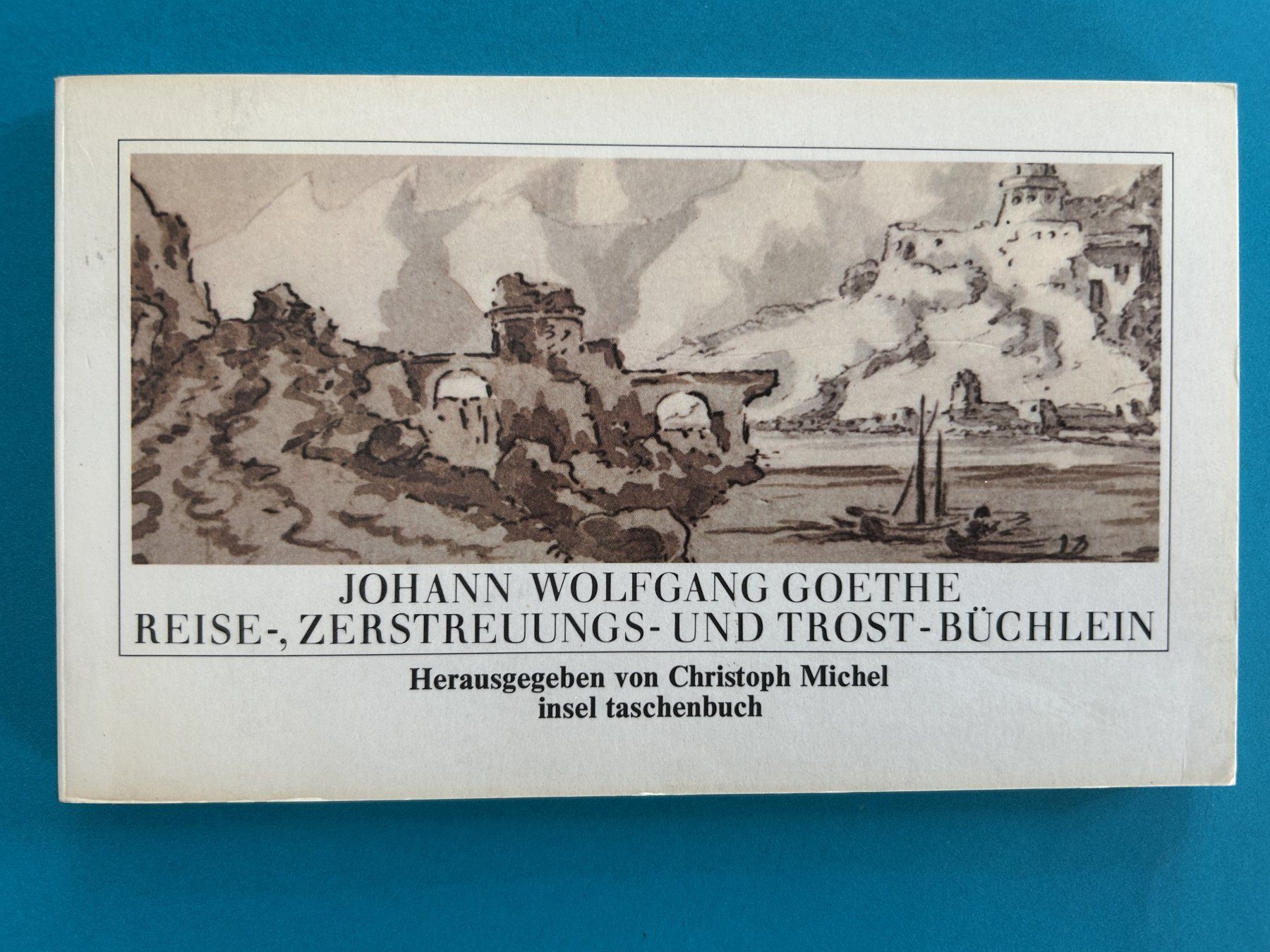 Libri: GOETHES TROST-BÜCHLEIN – Usato da Zürich venduto da Domus09 1