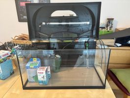 Aquarium Set Eheim 60 Liter mit Filter und Heizstab gebrauch