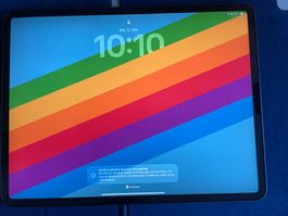 Apple iPad Pro 12.9” 256GB+Mobile+Pencil+Hülle