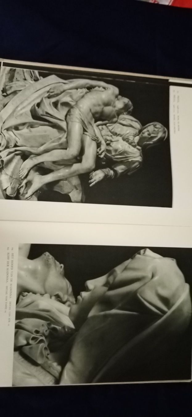 Libri: Michelangelo, Bildband – Usato da Büsingen venduto da Flohminator 6