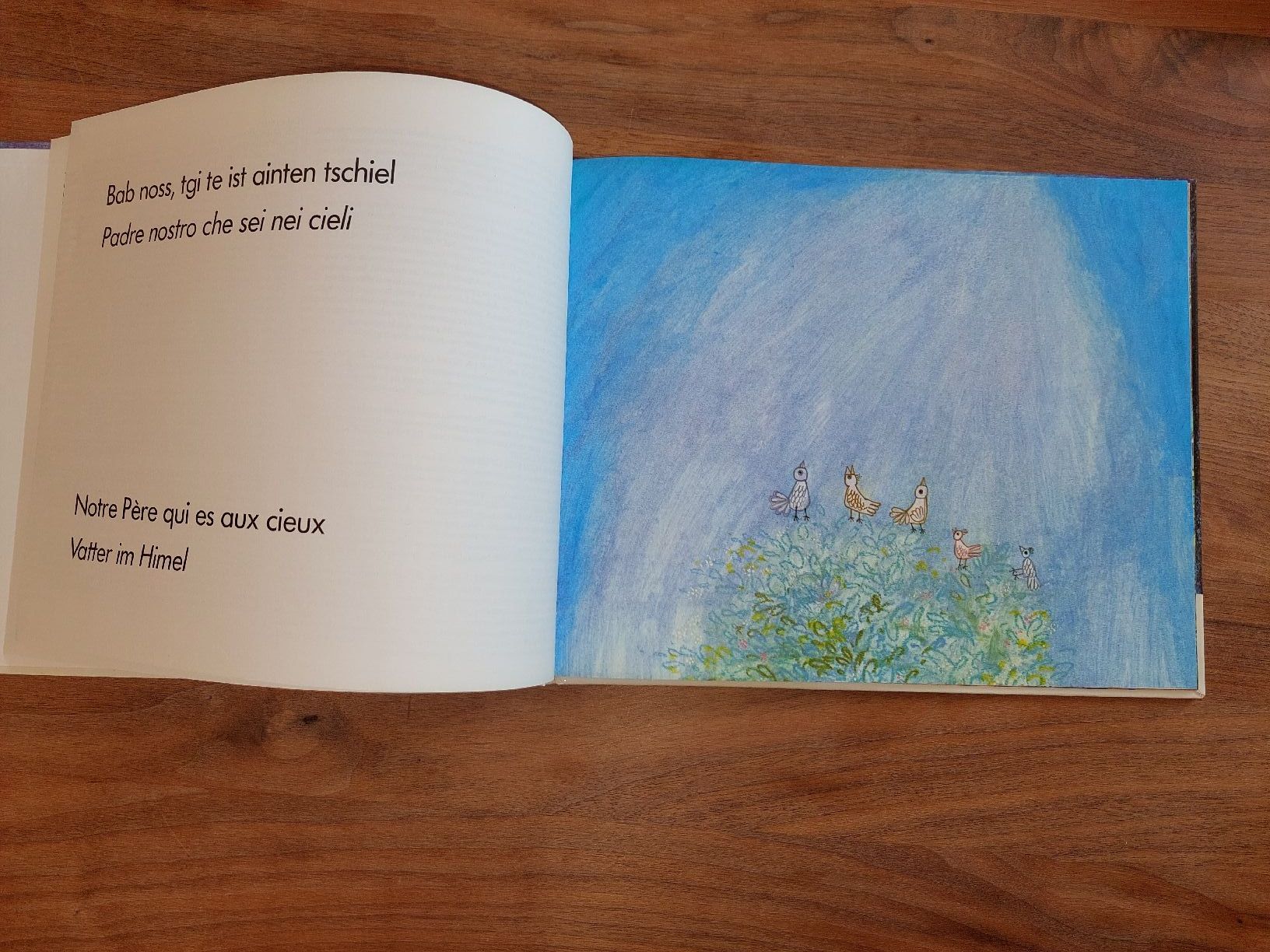 Bücher: 2 Kinderbücher: Peter und der Wolf & Vater unser -4 sprachig – Gebraucht aus Brunnen von Livianda 3