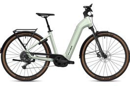 NEU FLYER 25KM/H E-BIKE | 85NM & 750WH BOSCH