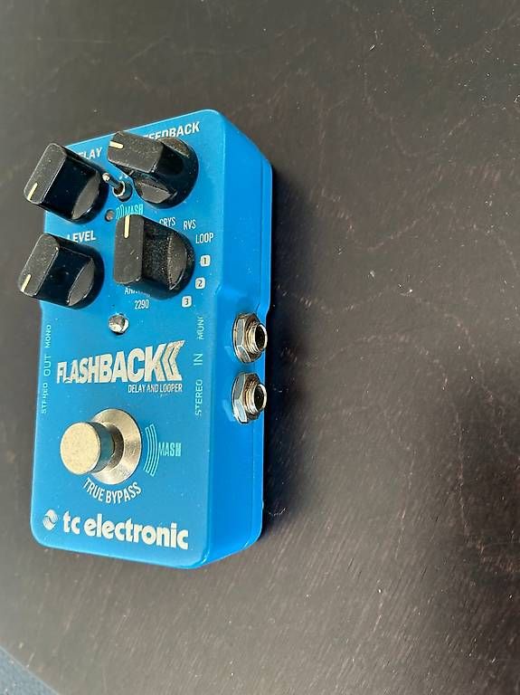 Strumenti musicali: TC Electronic Flashback 2 Delay Effekt Pedal – Usato da Bern venduto da lor_s9hx 2