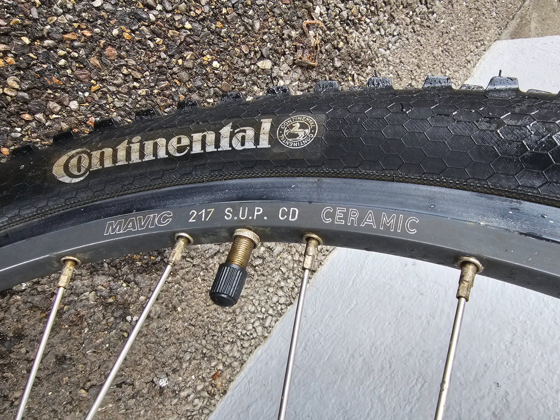 GT Biciclette: GT & Canendale – Usato da kleindöttingen venduto da Jimi-Hendrix 3