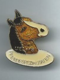 Plaketten & Abzeichen: Pferdekopf, Pin – Gebraucht aus Zürich von t24_de