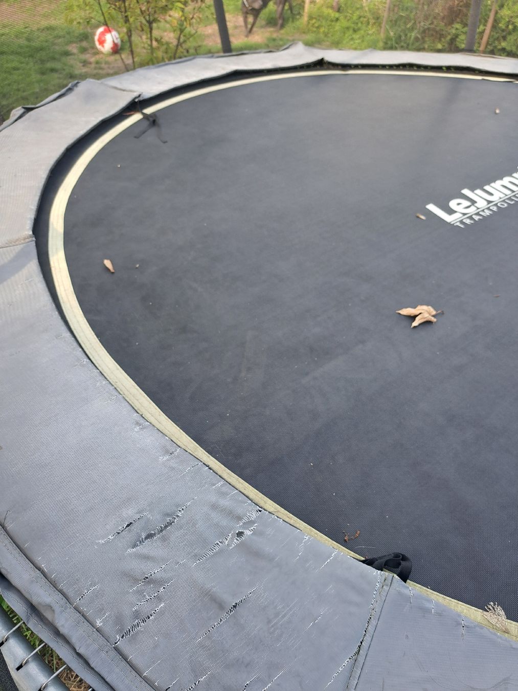 Trampolines: Trampolin 3m Durchmesser – D'occasion à Unterkulm par famerismann 1