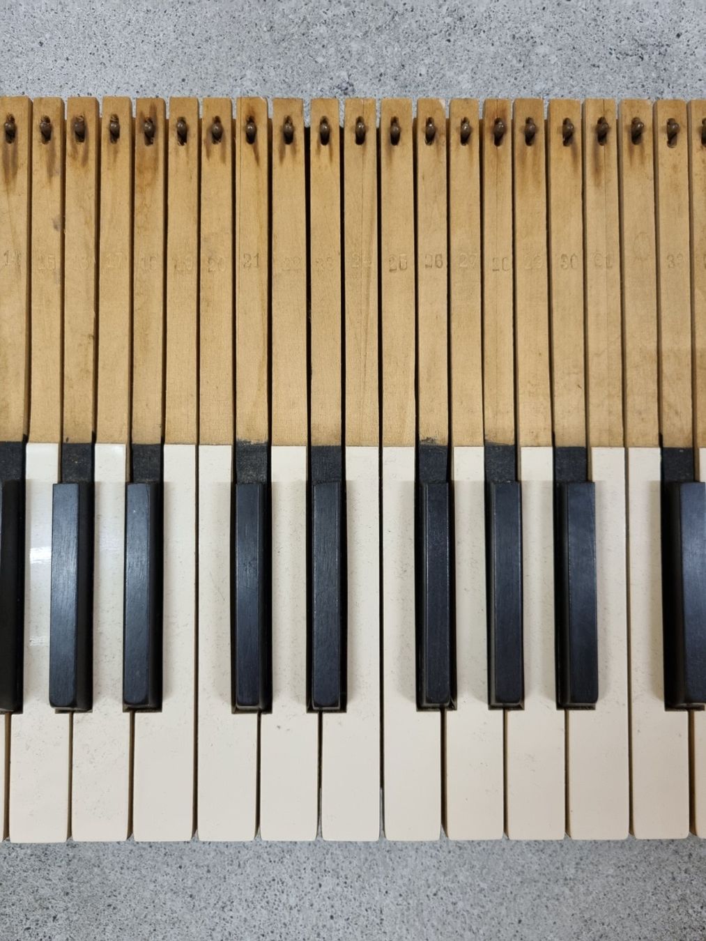 Strumenti musicali: Klaviertasten – Usato da Kriens venduto da Bazinga1 2