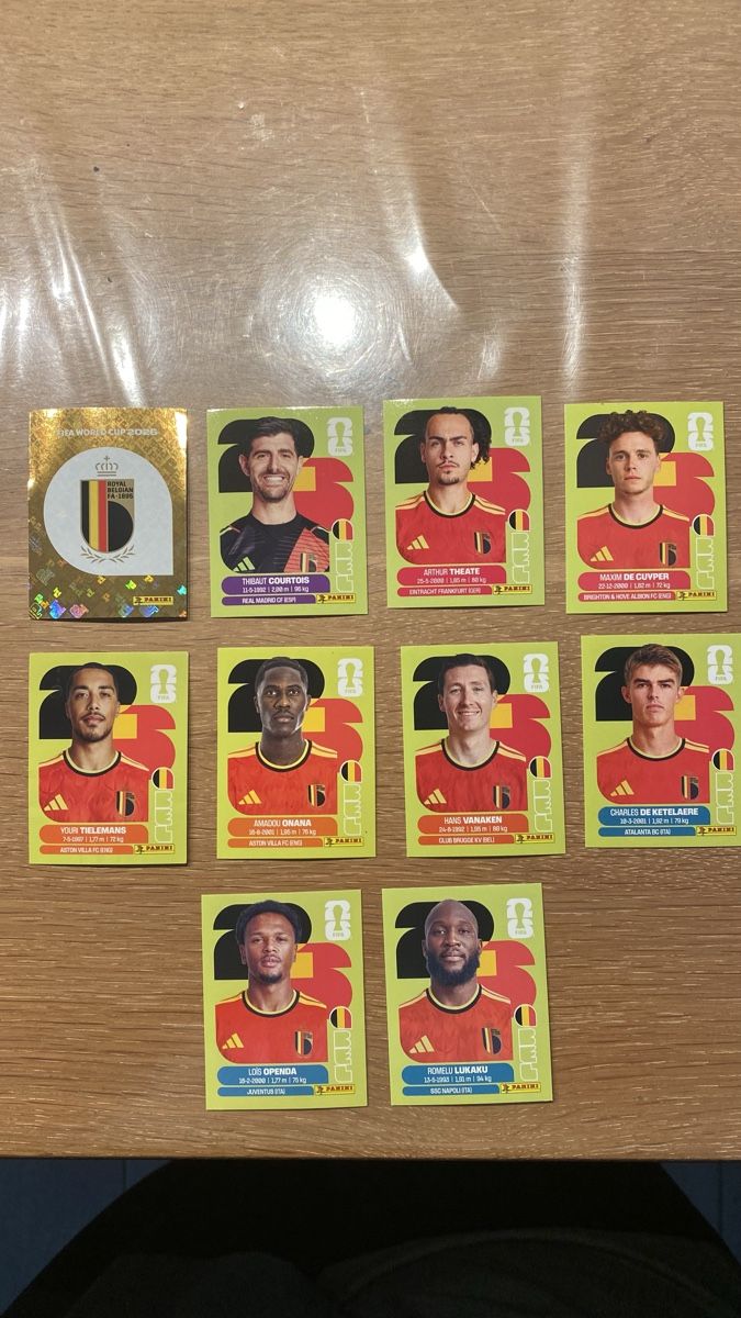 Panini Carte collezionabili: Panini Sticker - BEL - 10 Stickers – Nuovo (secondo la descrizione) da Adliswil venduto da didoli