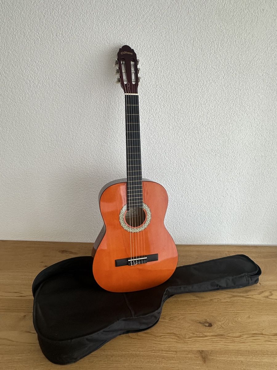C.Giant Strumenti musicali: Gitarre C.Giant – Usato da Schaffhausen venduto da pinca19 5