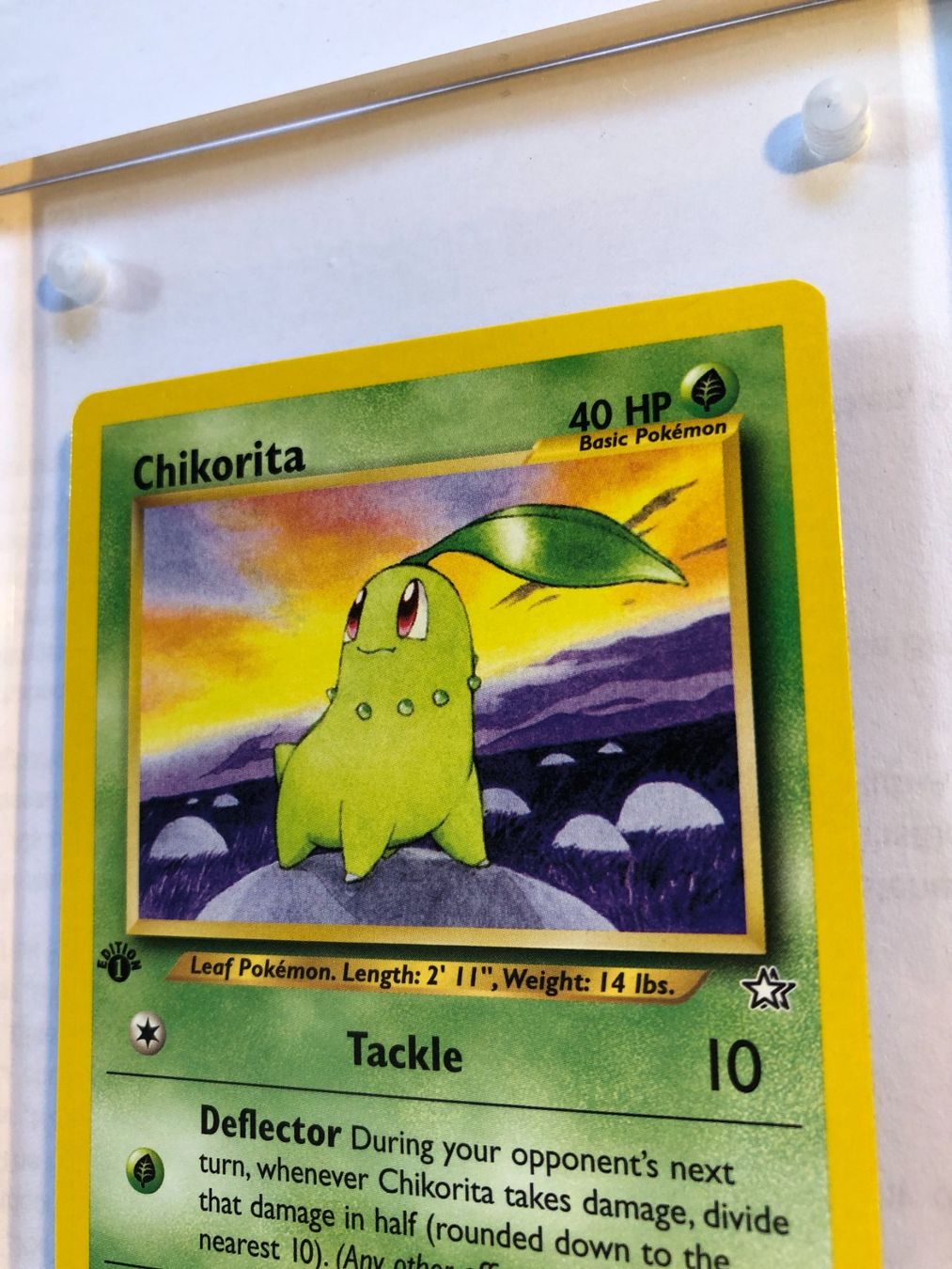 Sammelbilder & Trading cards: Chikorita 1st Neo Genesis - MINT - ab 1.- – Gebraucht aus Giubiasco von dan_pr8b 3