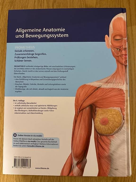 Libri: Prometheus Lernatlas der Anatomie, 6. Auflage – Usato da Grellingen venduto da lyd_vy9s 1