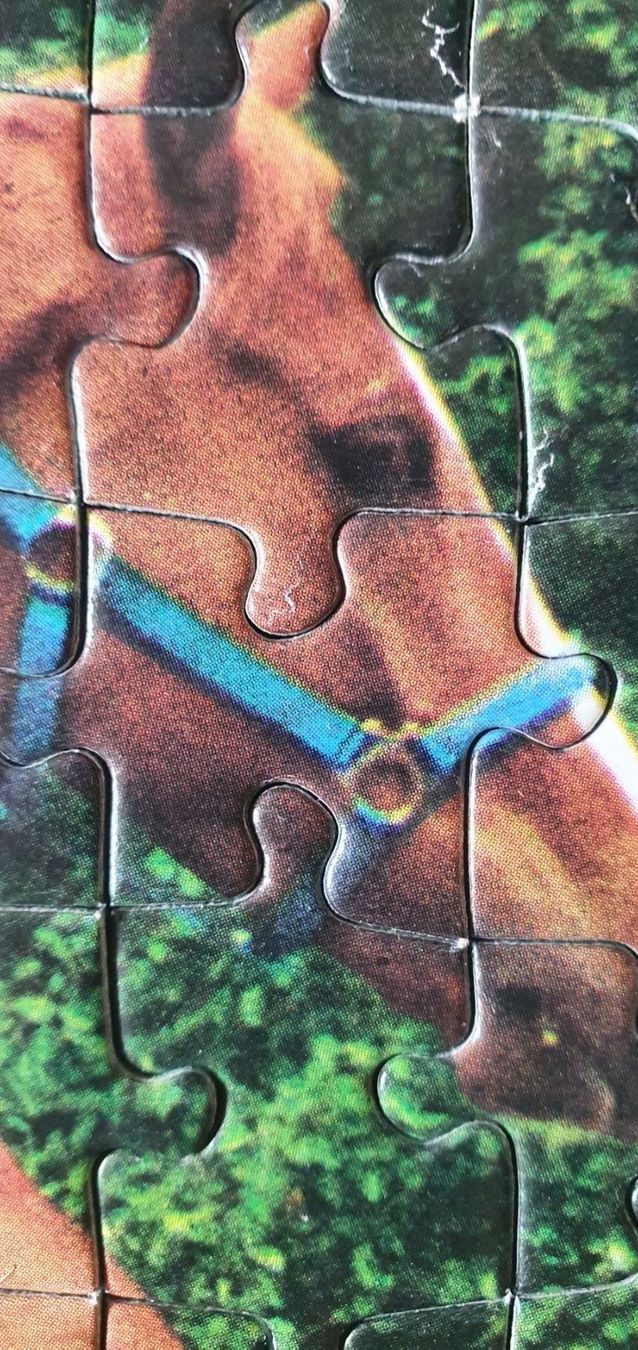 Puzzles: Pferdepuzzle 280Teile – D'occasion à Langnau am Albis par jer_pm72 7