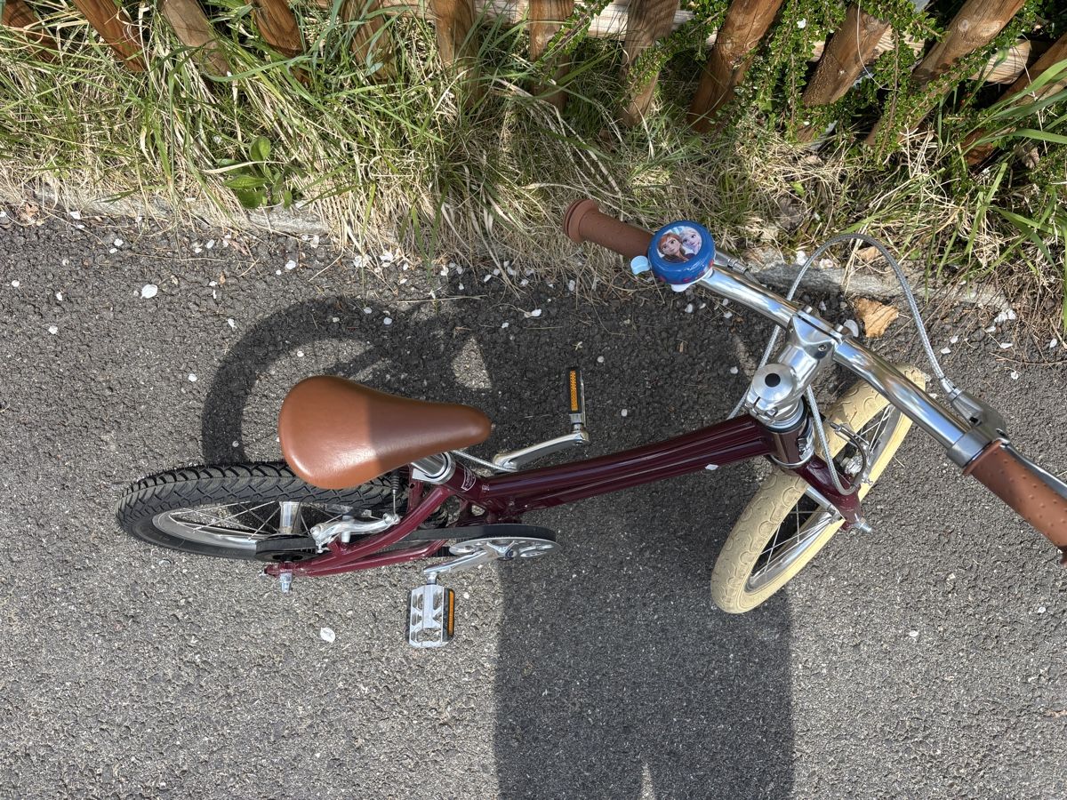 Siech Biciclette: Siech 16 Zoll – Usato da Hedingen venduto da max_2000 4