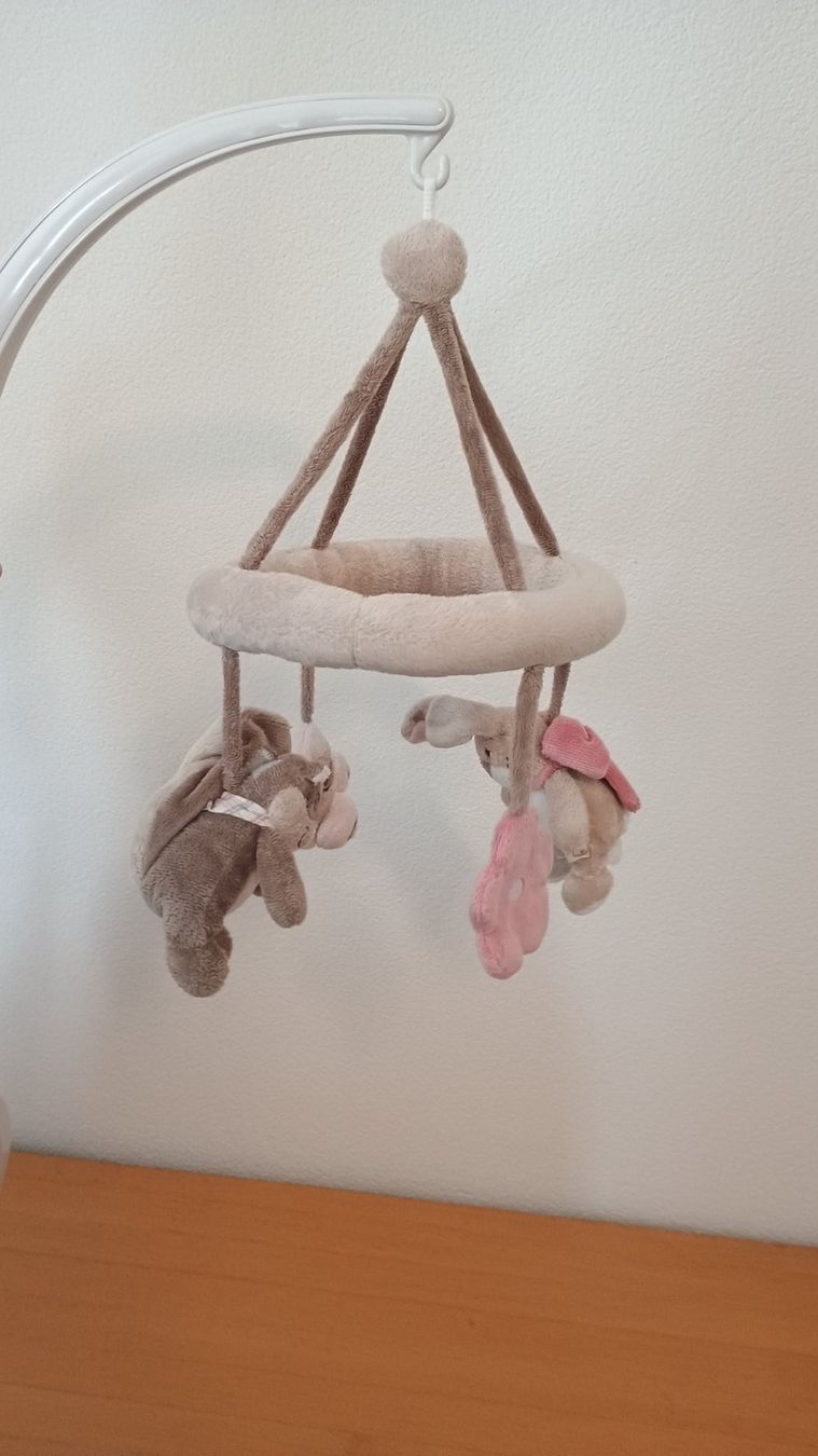 Altro in Decorazioni & Accessori: Mobile – Usato da Rothrist venduto da GIWALD 3