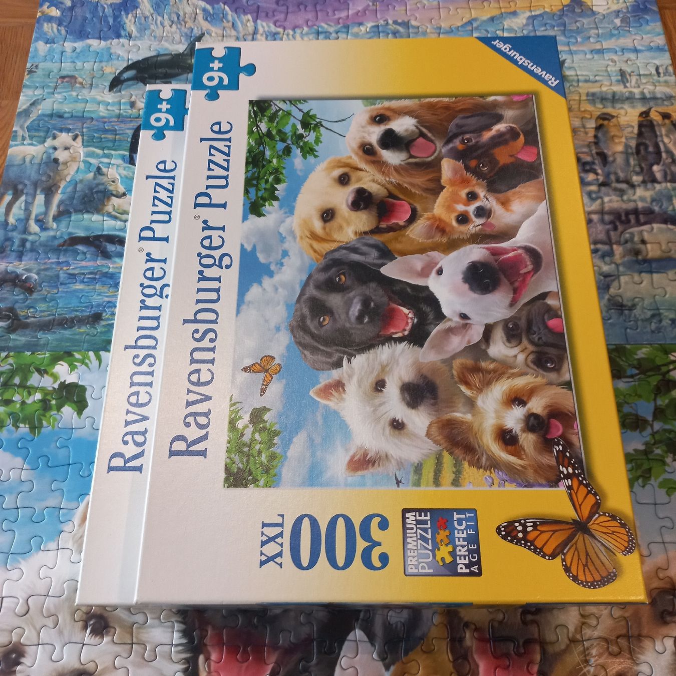 Ravensburger Puzzles: Ravensburger Puzzle 2×300 pièces  – Neu (gemäss Beschreibung) aus Dompierre FR von fat_xth5 5