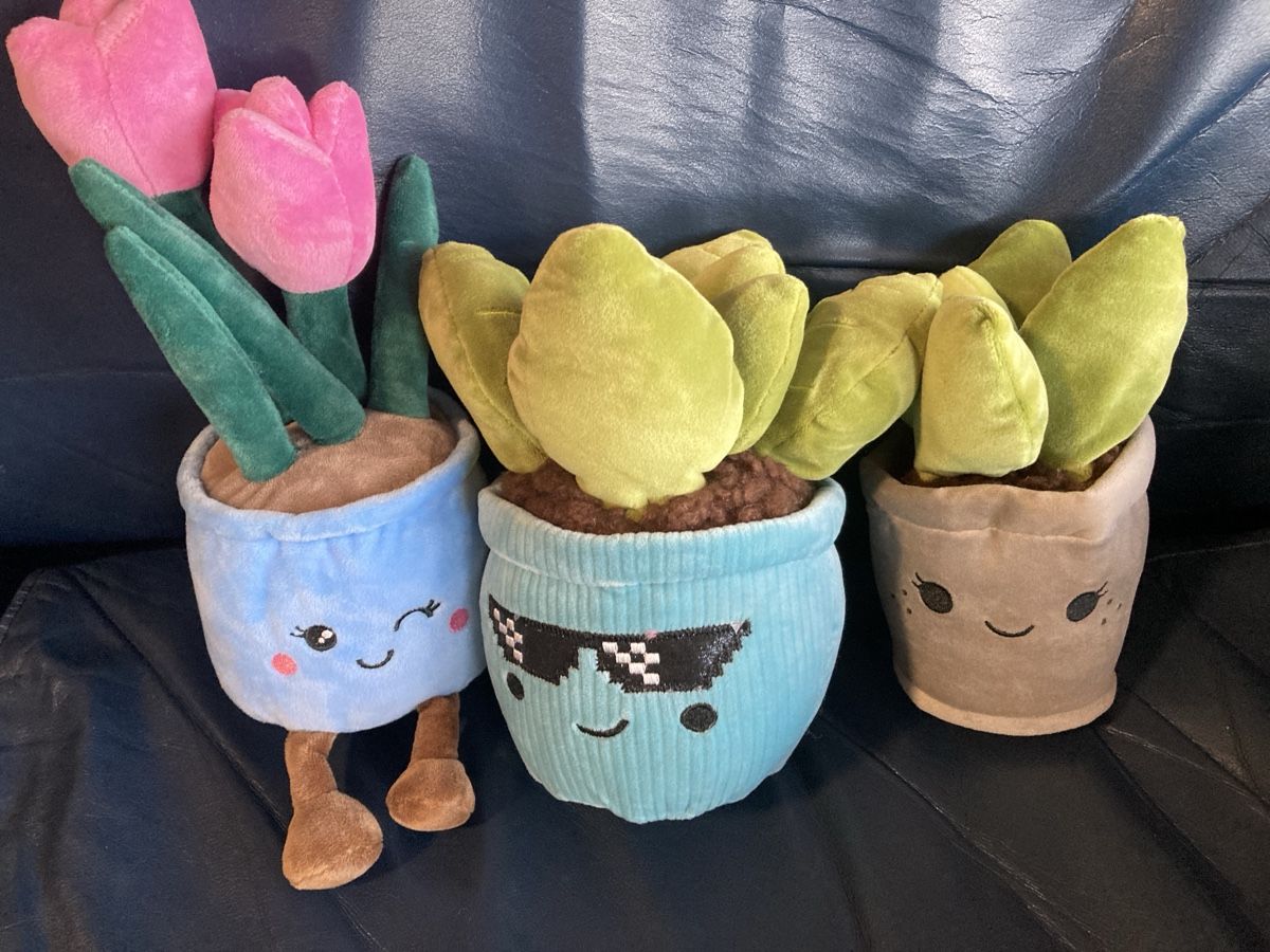 Giocattoli: Kuscheltiere Pflanzen Set ähnlich Jellycat – Nuovo (secondo la descrizione) da Birsfelden venduto da Soulseeker