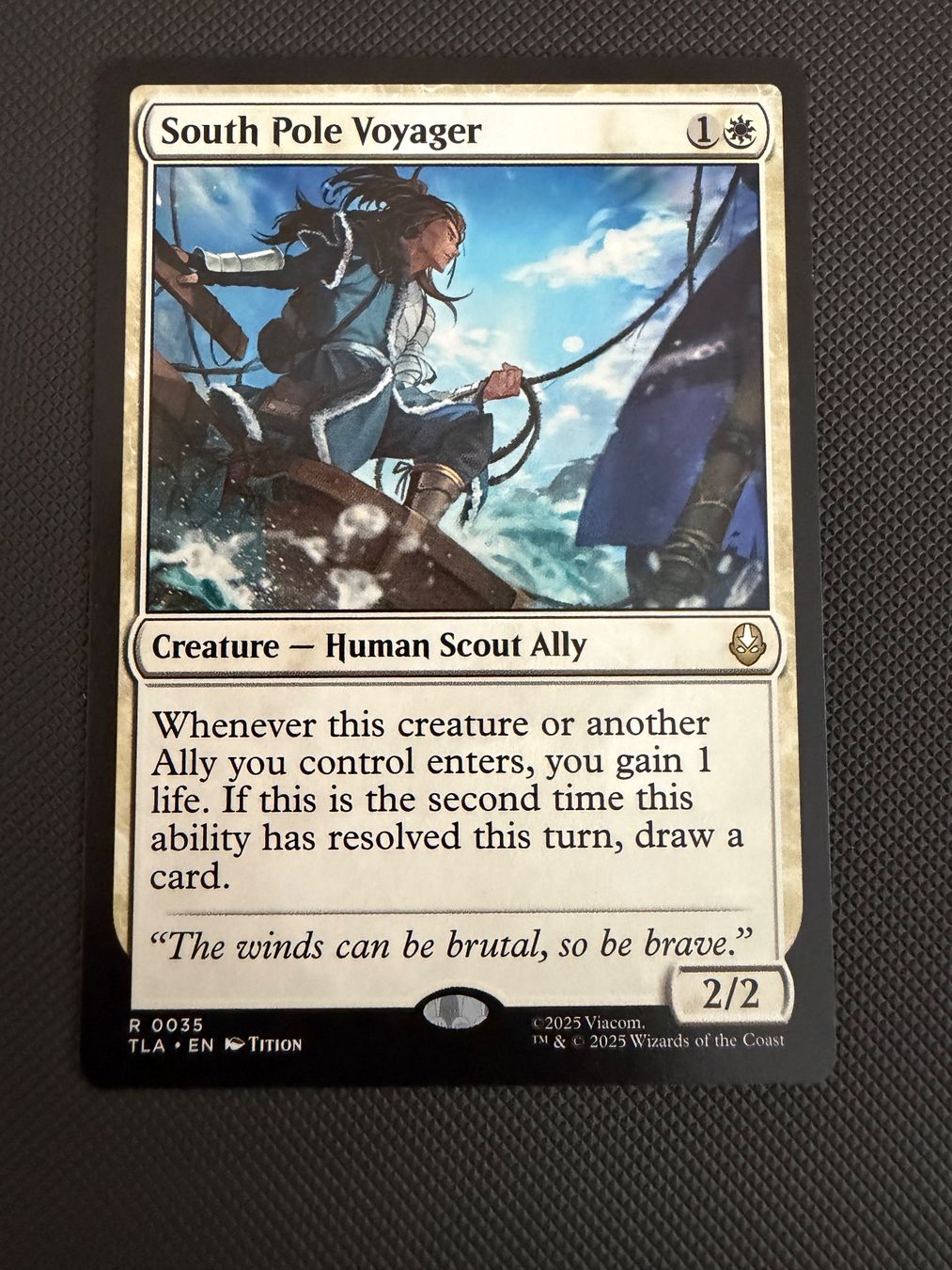 Magic The Gathering Carte collezionabili: South Pole Voyager – Usato da Ulisbach venduto da joelsj