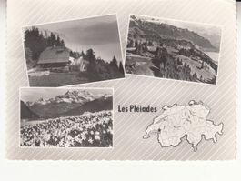 Pleiades 1964