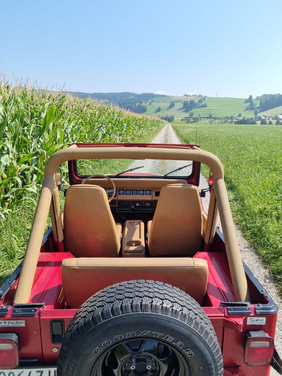 Jeep Automobili: Jepp Wangeler Auto – Usato da Menzingen venduto da Edelmuni7 2