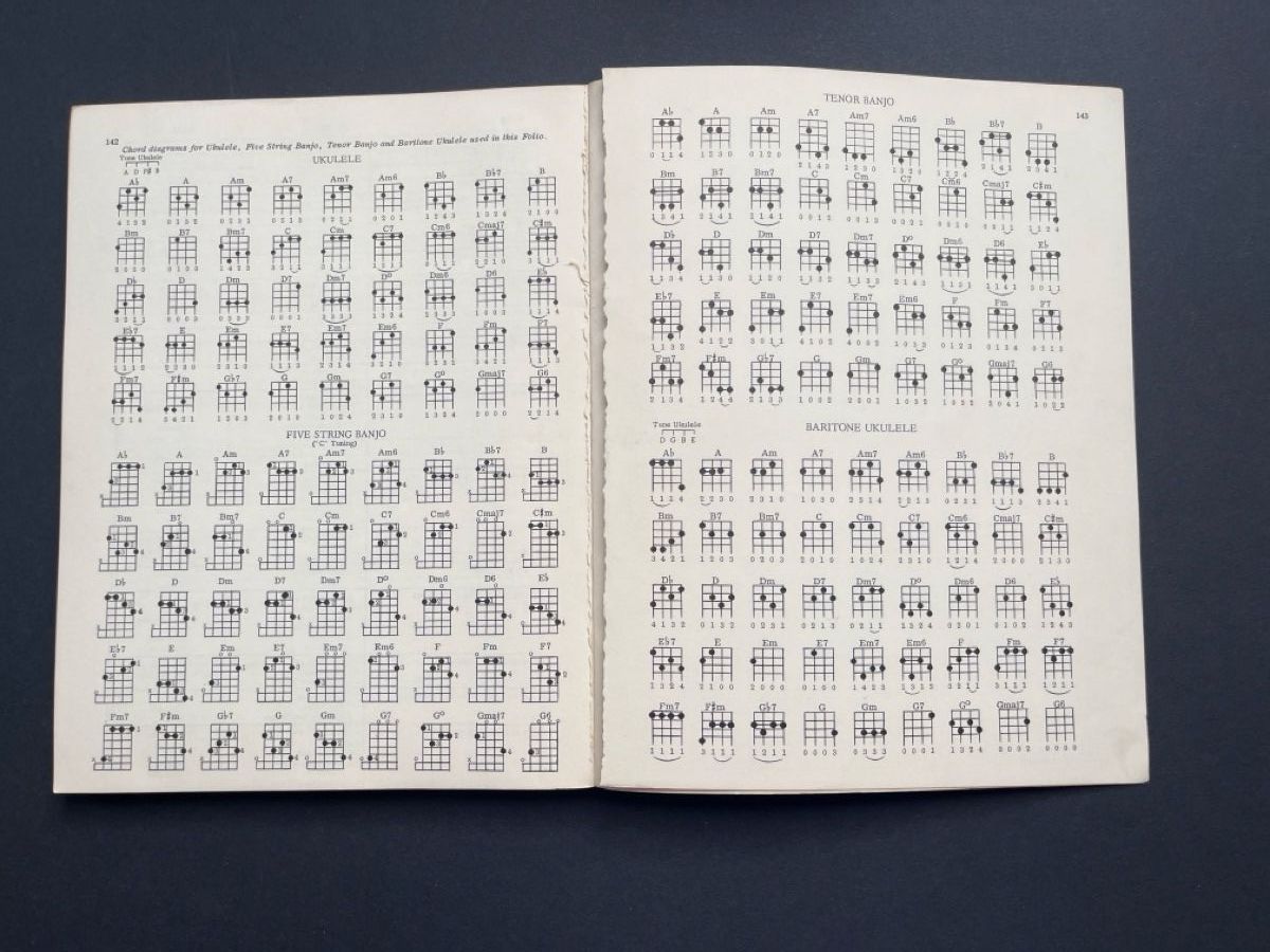 Bücher: Bob Dylan Song book – Gebraucht aus Biel-Bienne von hachrig 6