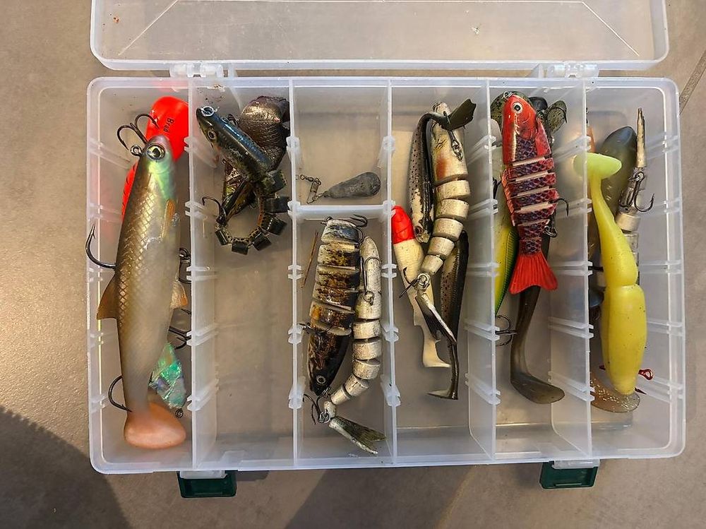 La pêche du brochet aux leurres : Techniques et approches