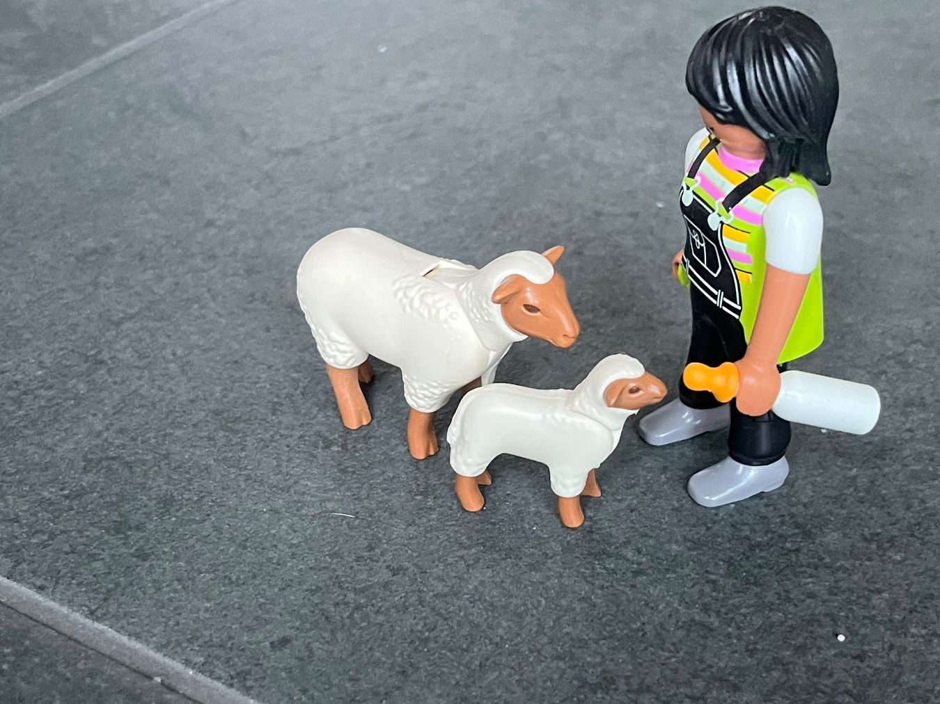 Playmobil Giocattoli: Playmobil Zoo – Usato da Densbüren venduto da rockyracoon83 7