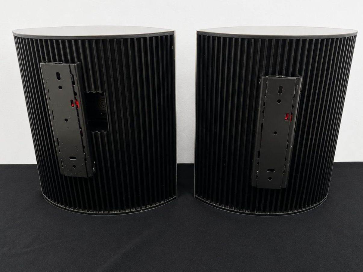 Bang & Olufsen Casse acustiche: Bang & Olufsen BeoLab 4000 – Usato da Amriswil venduto da medialoft 2