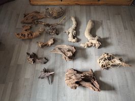 Tropenhölzer bereits abgekocht 