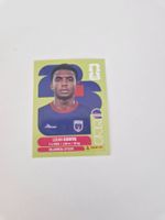 Panini Sticker CPV3