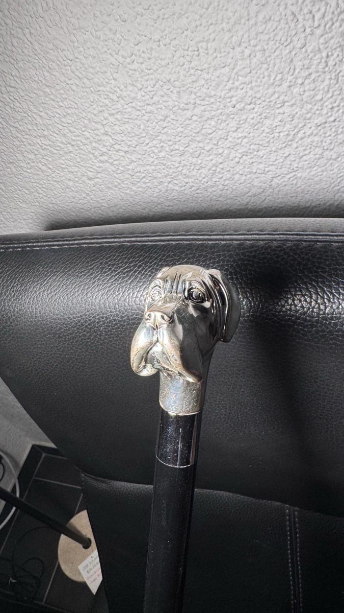 Ombrelli: Pasotti Schirm mit Labrador Handle – Usato da Brugg AG venduto da GiovanniVercetti