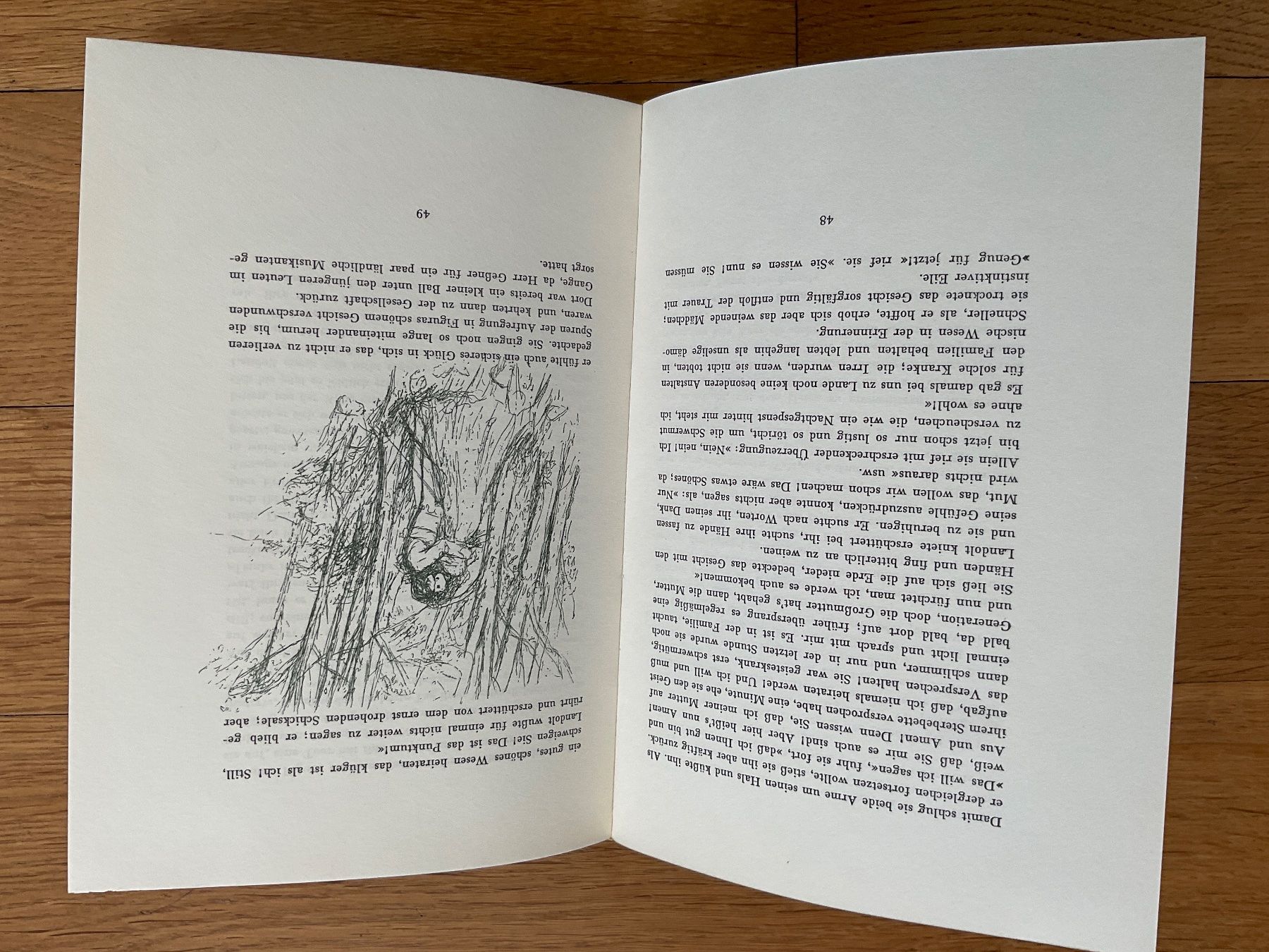 Bücher: Der Landvogt von Greifensee, Gottfried Keller – Gebraucht aus Breitenbach von geni014 7