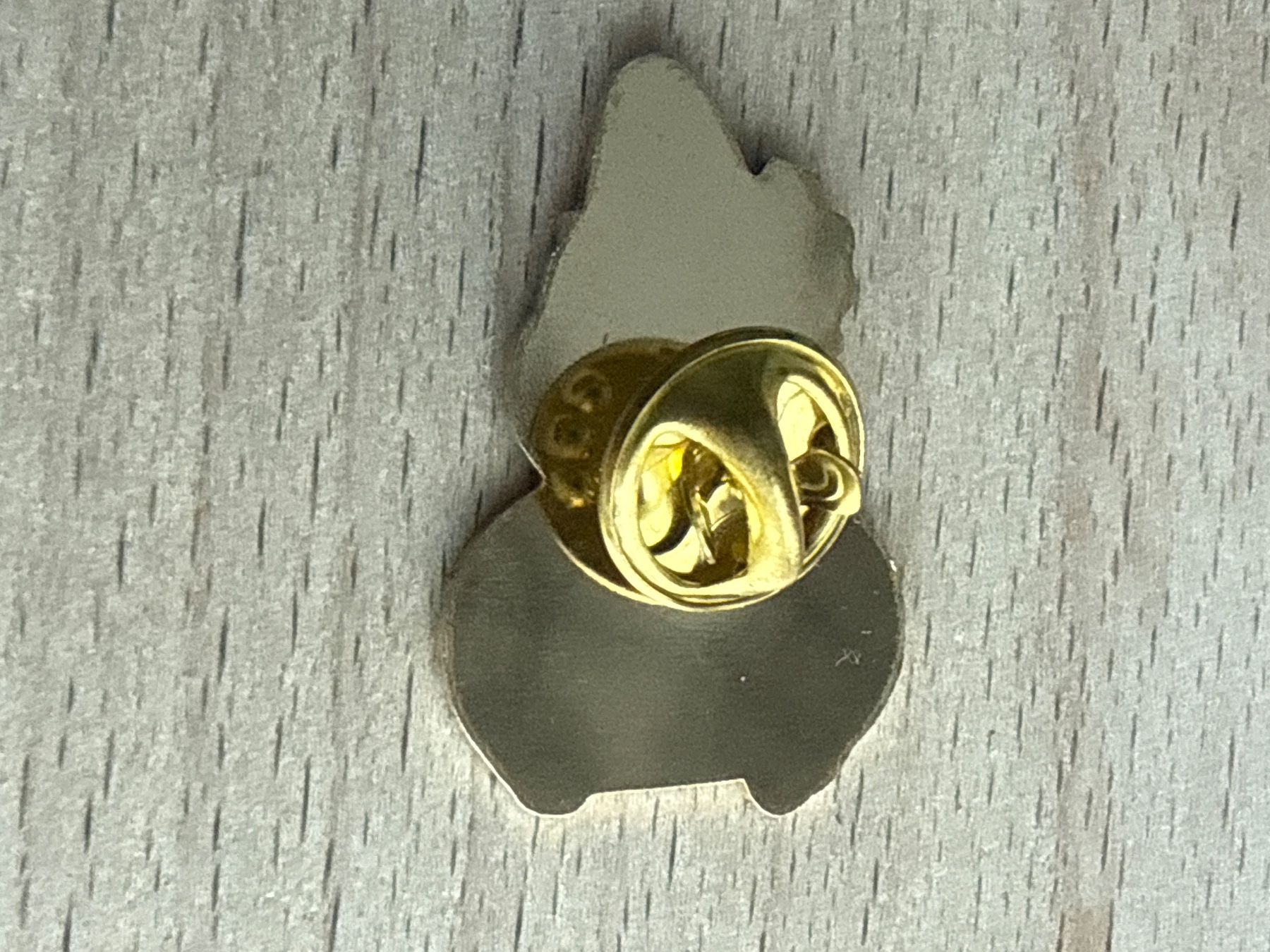 Placchette & Badge: Pin Adventure Day – Usato da Glattbrugg venduto da Schweigmatt 1