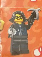 Lego Minifigur Serie 15 - Nr.15