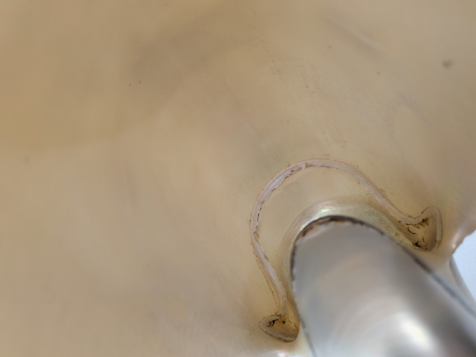 Fossili: Perlboot Nautilus Muschel – Usato da Emmen venduto da magelan 6