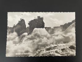 AK SH Rheinfall vom Fischnetz aus