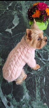 🐶 Handgemachte Hundepullover aus Wolle – Grösse M
