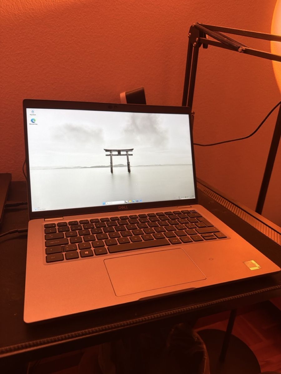 Dell Notebook: Office Laptop  – Nuovo (secondo la descrizione) da Solothurn venduto da powerflower11