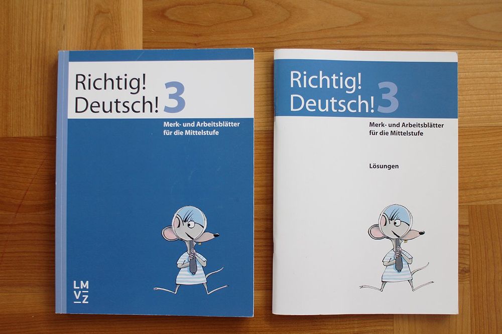 Richtig Deutsch! 3 Mit Lösungen / LMVZ | Kaufen Auf Ricardo