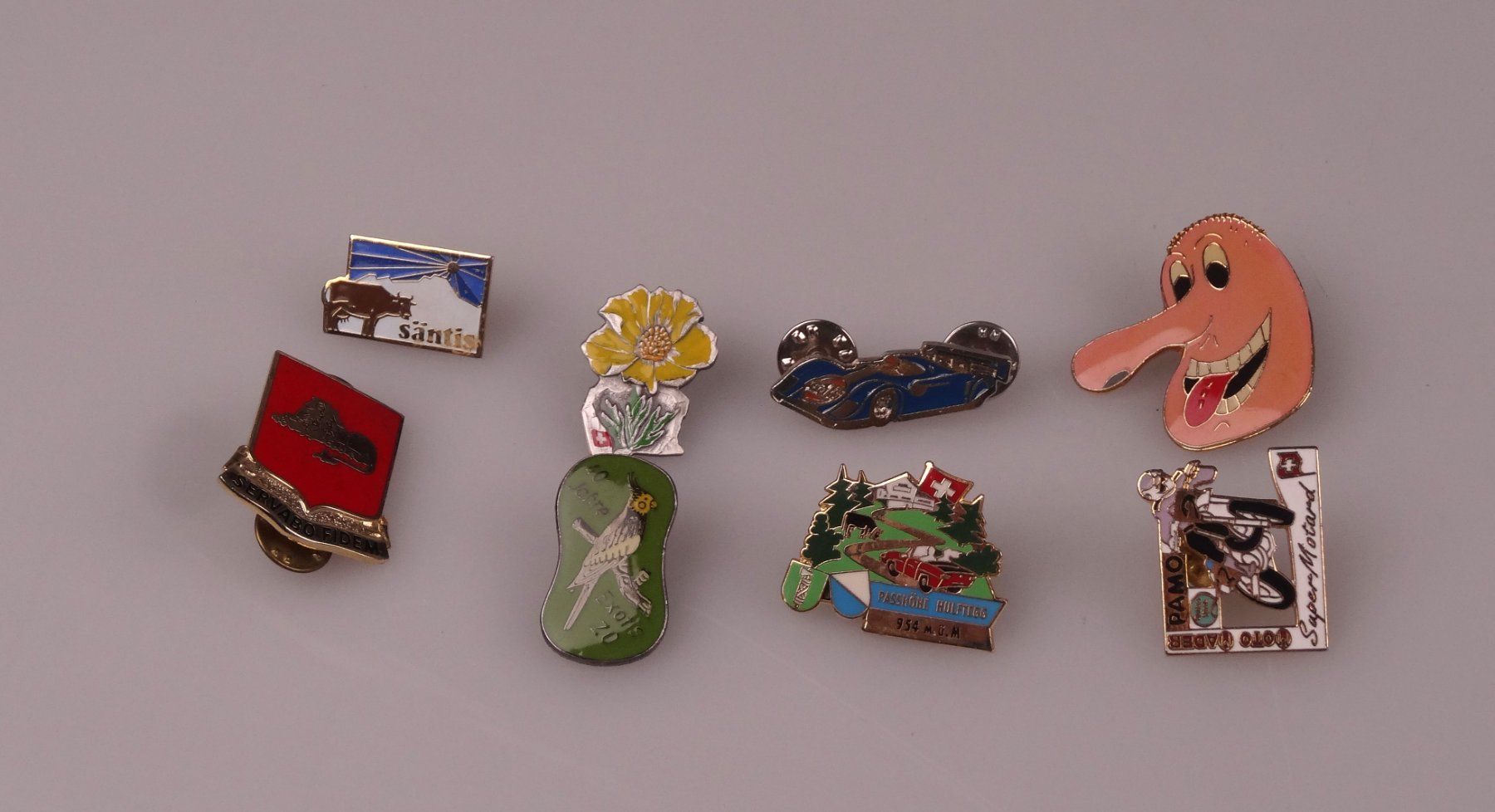 Placchette & Badge: Pins-Konvolut – Usato da Volketswil venduto da brockipfannenstil 1