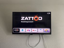 Philips 43-Zoll PUS 6101 TV inkl.Wandhalterung ausziehbar