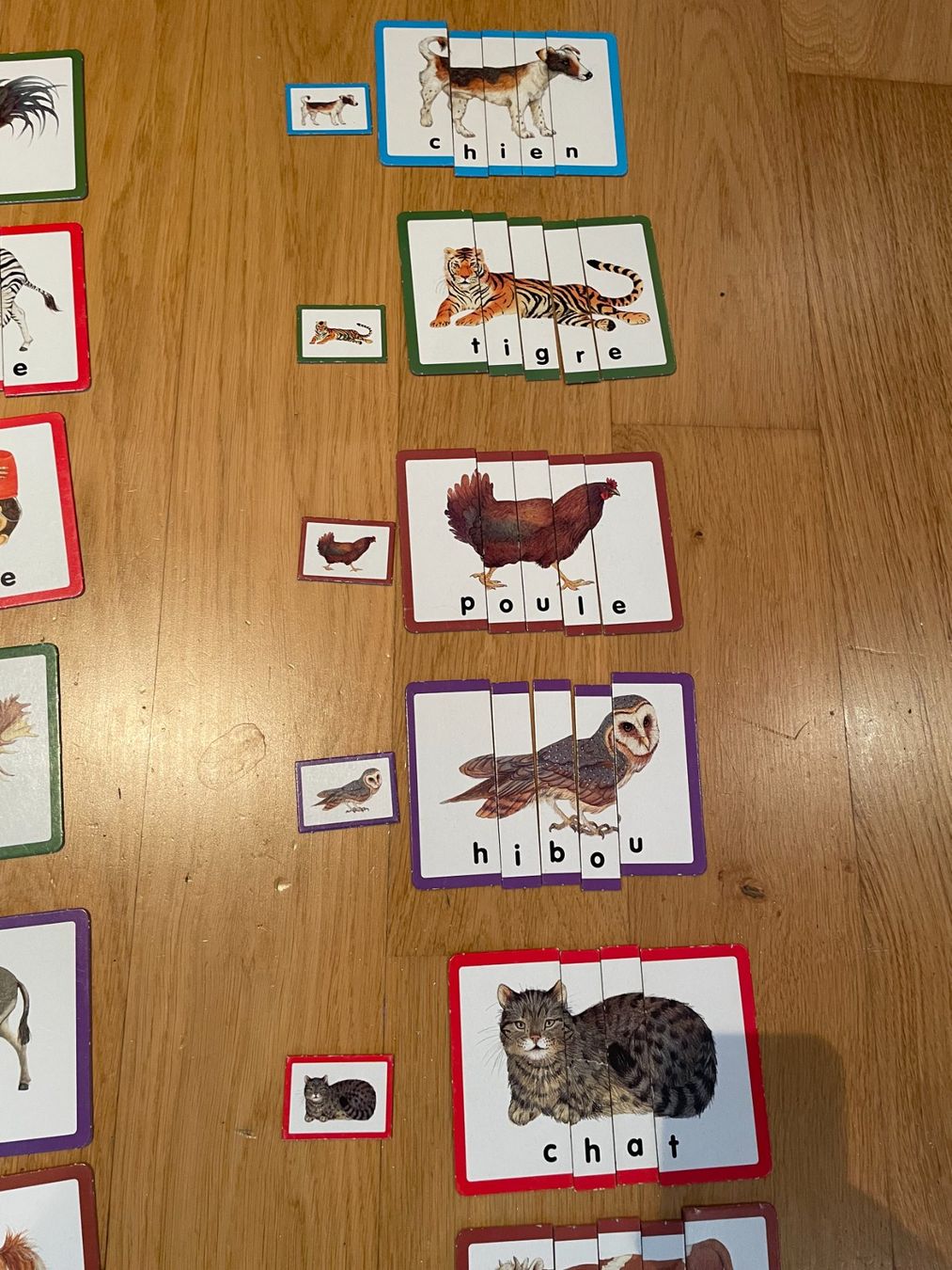 Ravensburger Giochi: Première Lecture Ravensburger - Apprendre l'alphabet – Usato da Petit Lancy venduto da gil_hr6v 6